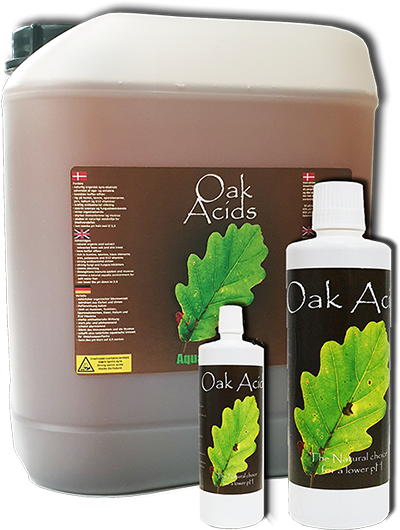 Oak Acids